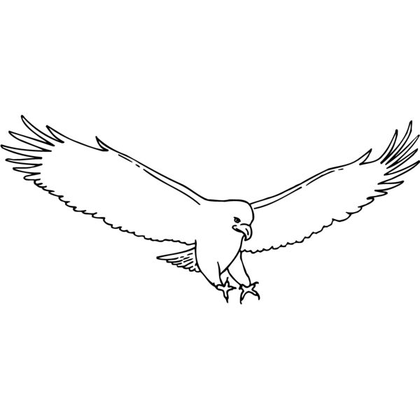 EAGLE46 Thumbnail