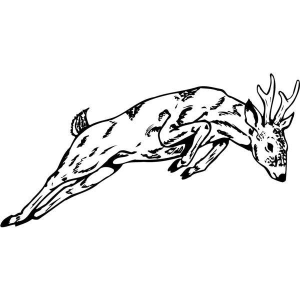 DEER020 Thumbnail